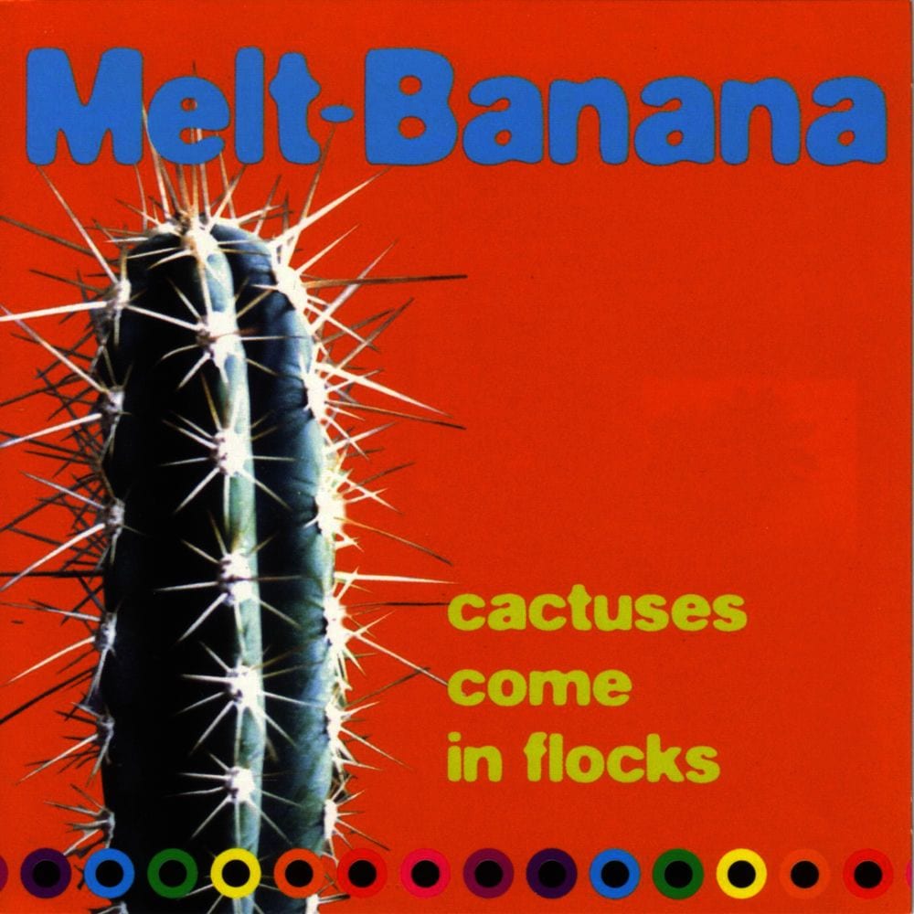 "Cactuses Come in Flocks" cover