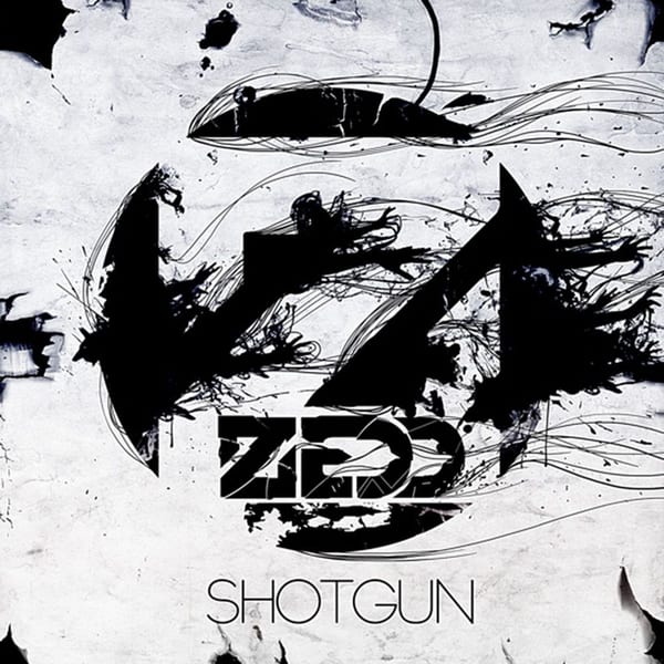 Shotgun cover