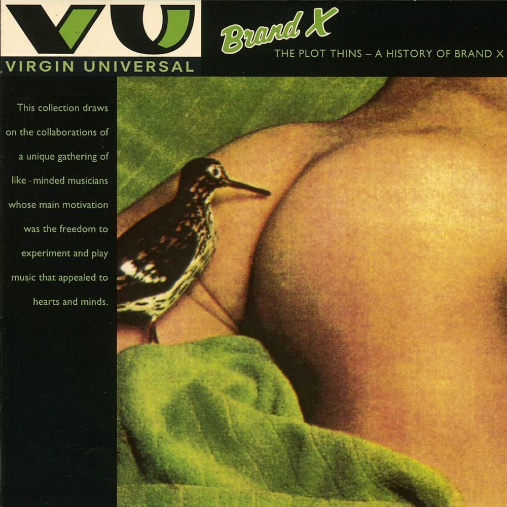 The Plot Thins - A History Of Brand X cover
