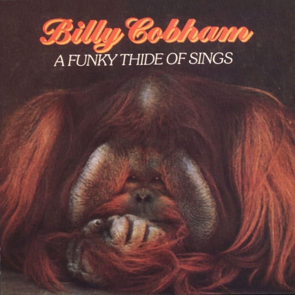 A Funky Thide Of Sings album cover