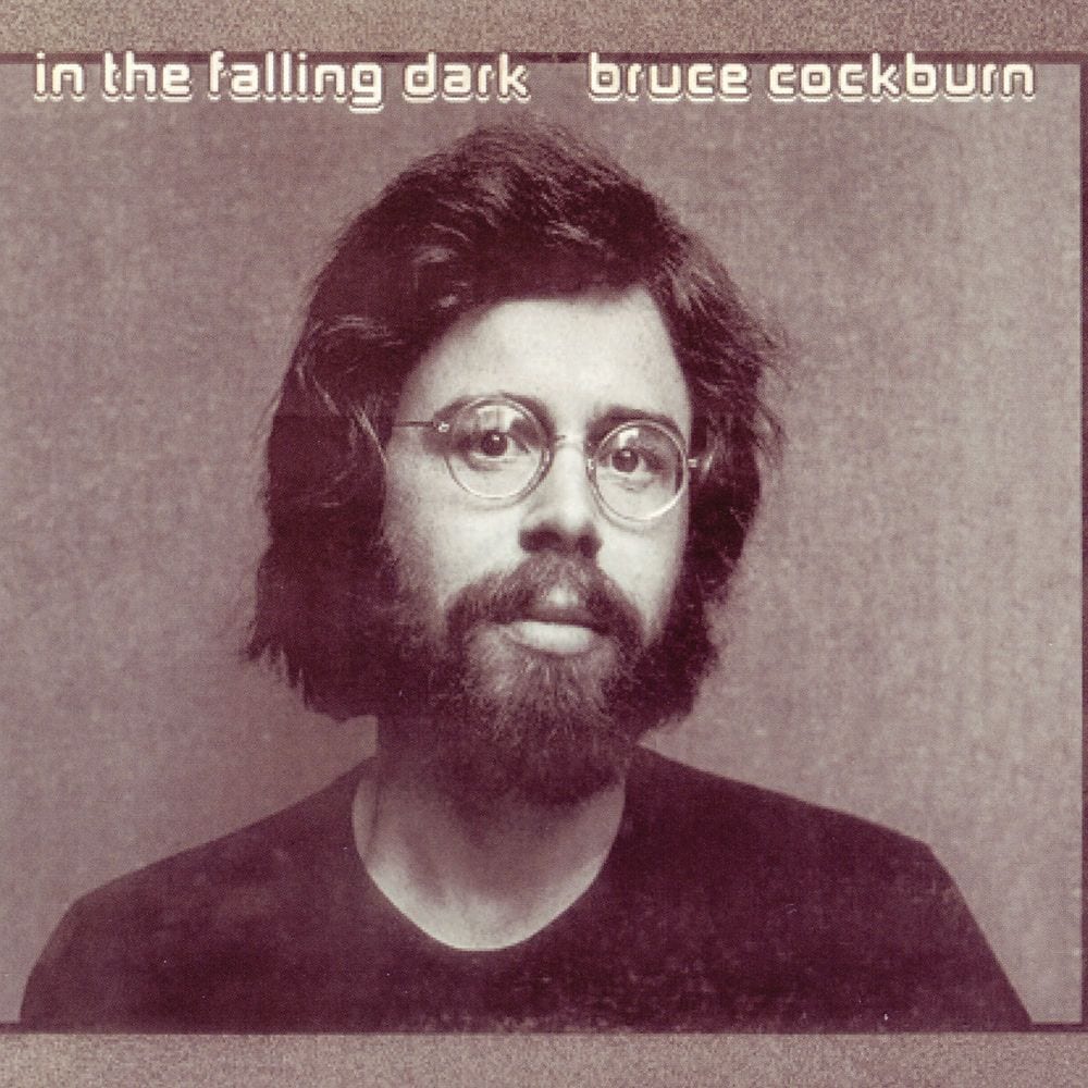 In the Falling Dark cover