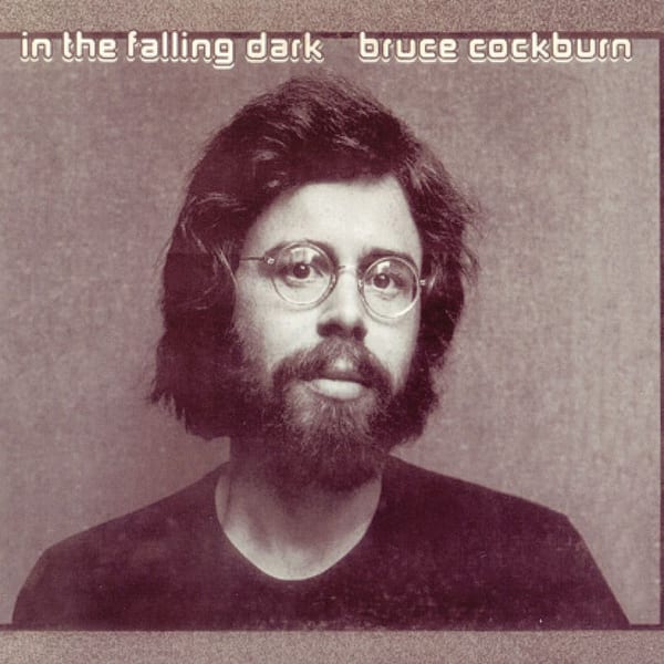 In the Falling Dark cover
