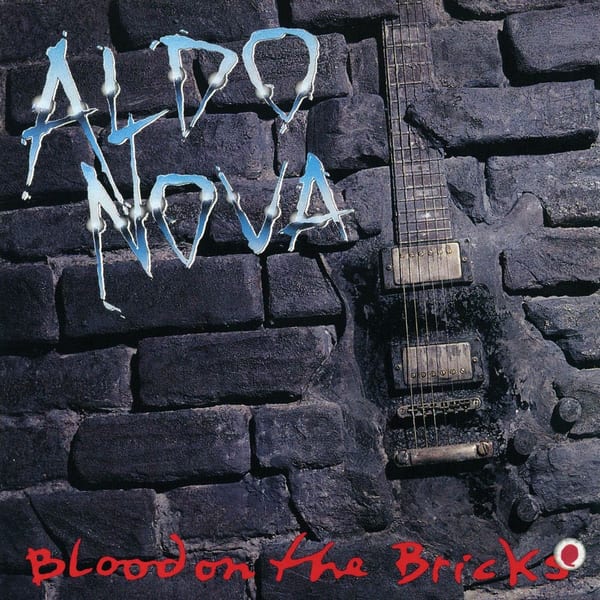 Blood on the Bricks cover