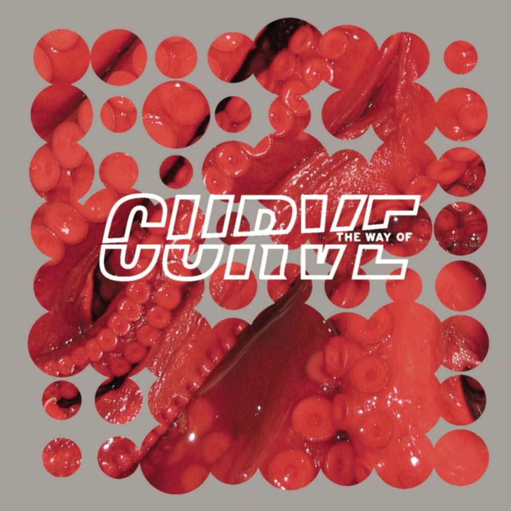 The Way Of Curve cover