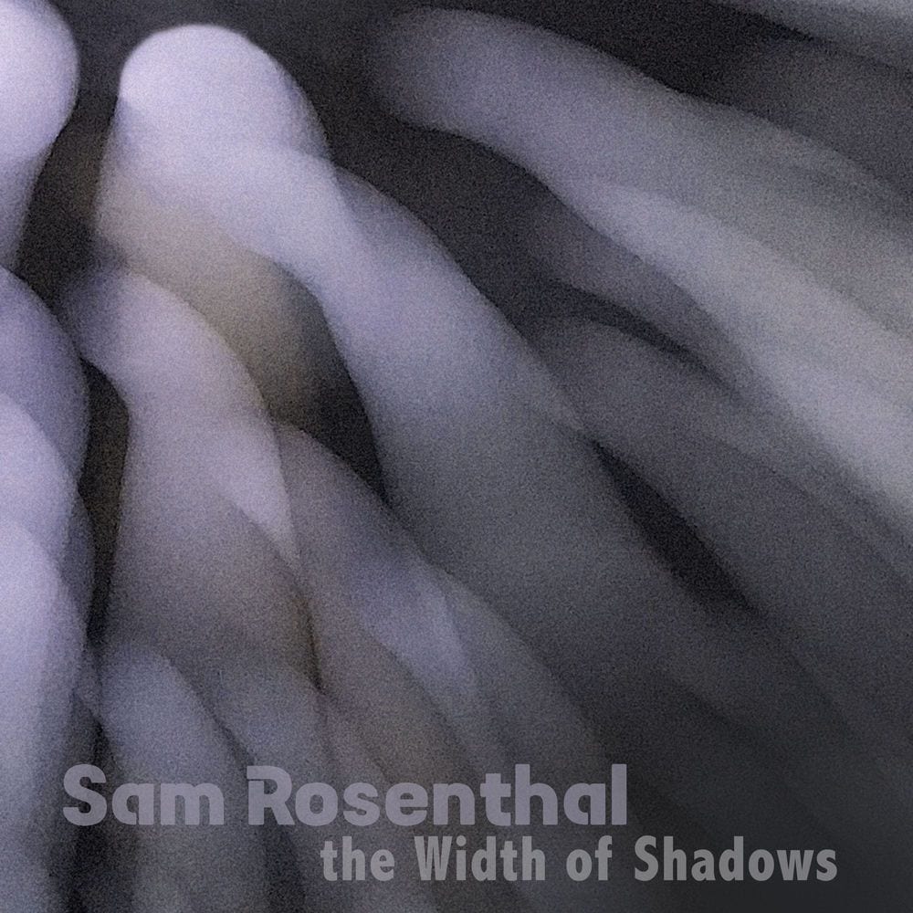 The Width of Shadows cover