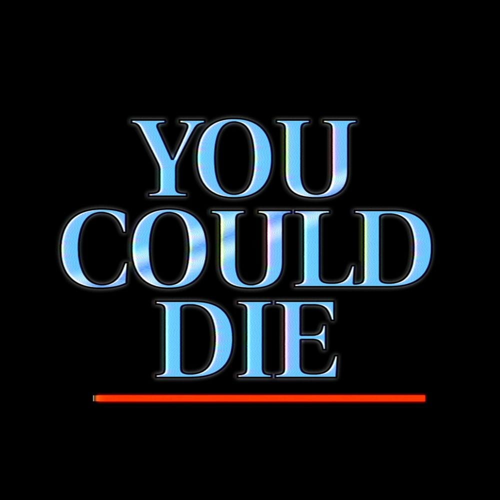 YOU COULD DIE !? cover