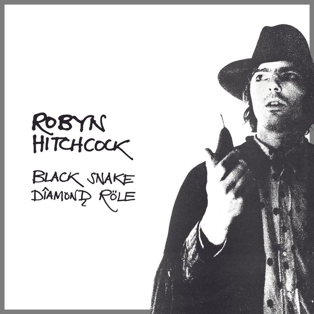 Black Snake Dîamonḑ Röle cover