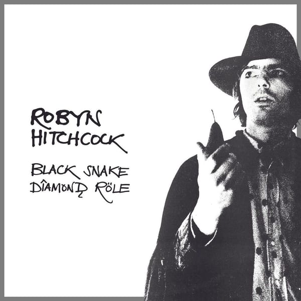 Black Snake Dîamonḑ Röle cover