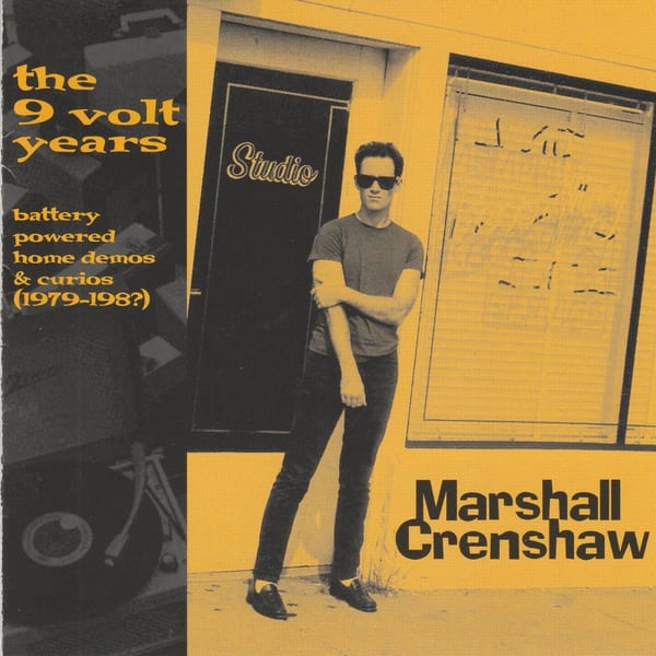 The 9 Volt Years cover