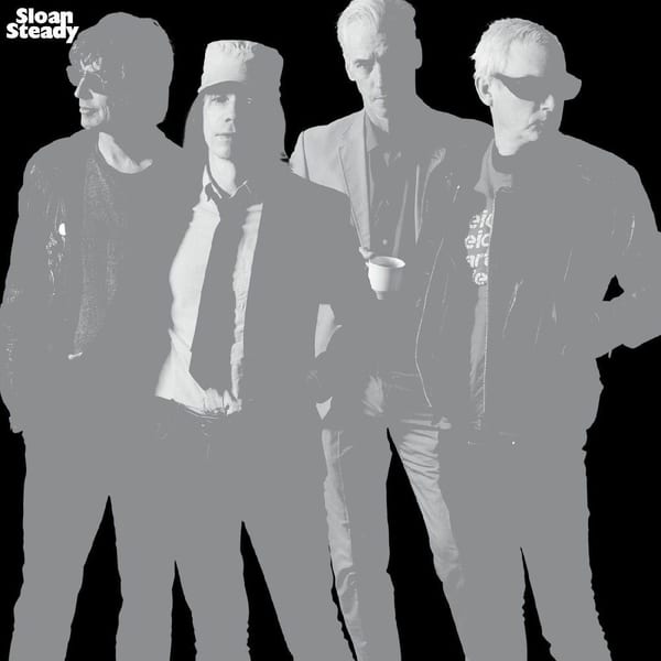 Steady cover