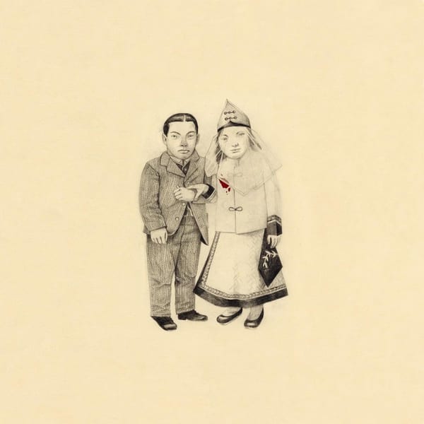 The Crane Wife cover