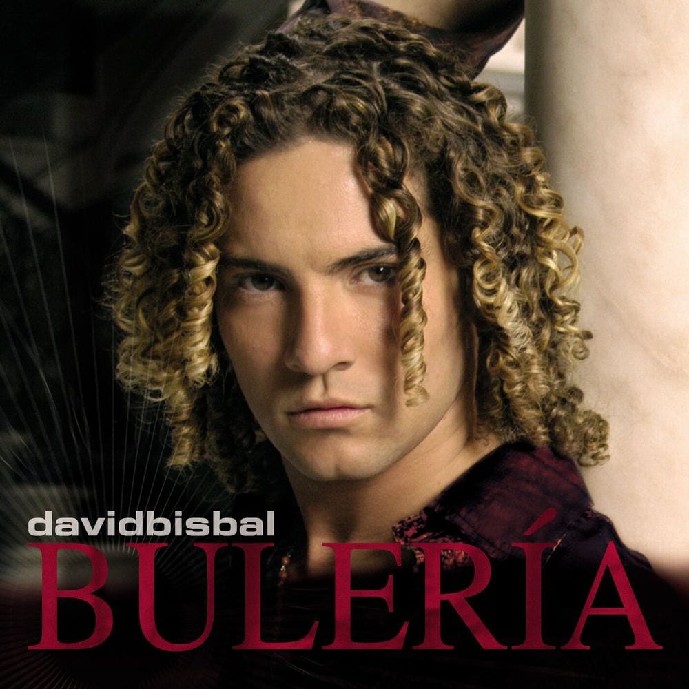 Bulería cover