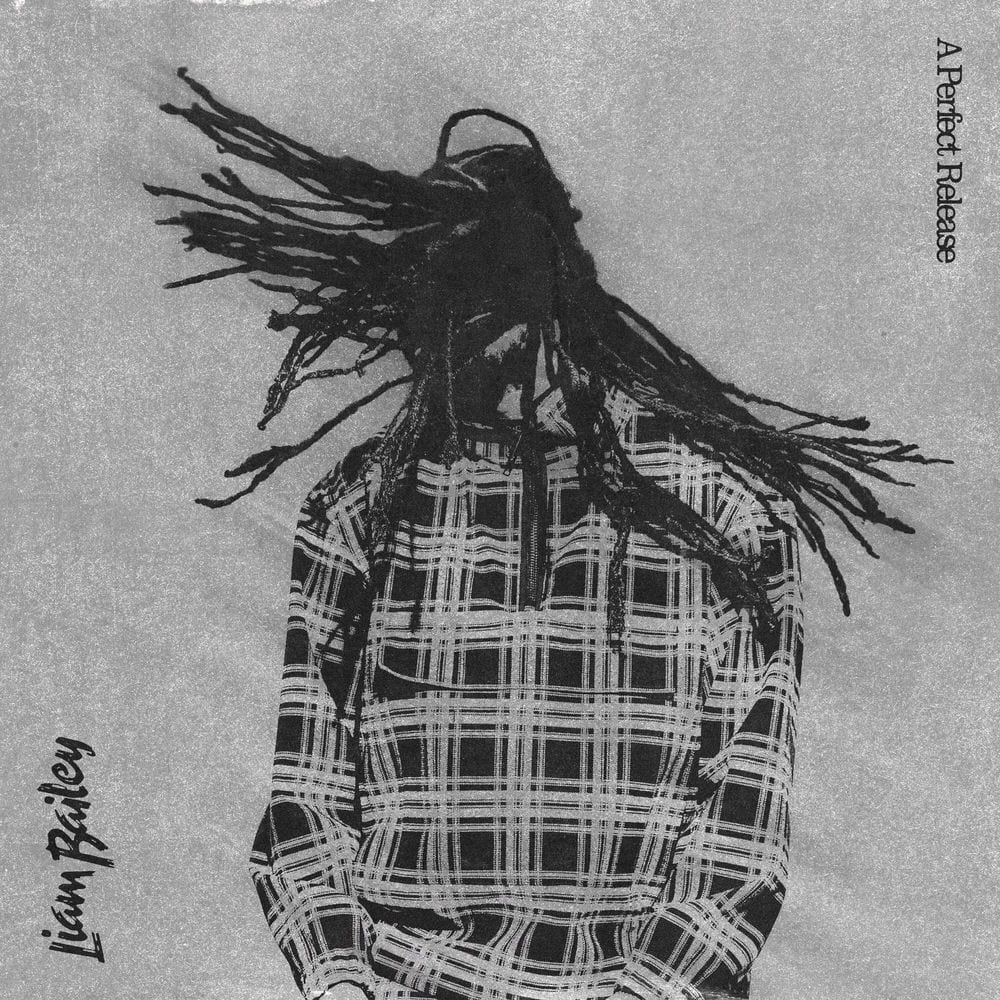 A Perfect Release cover
