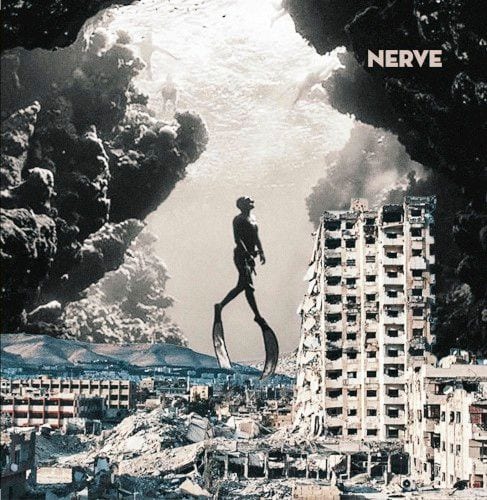 Nerve cover