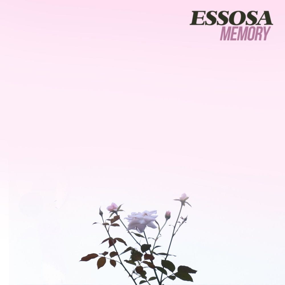 Memory cover