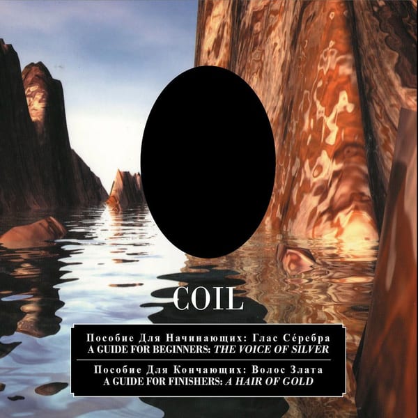 A Guide for Beginners: The Voice of Silver / a Guide for Finishers: a Hair of Gold cover