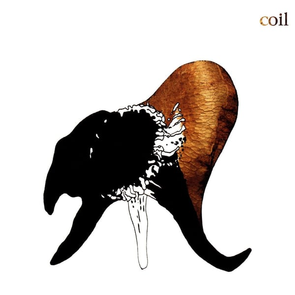 The Wraiths And Strays Of Paris cover