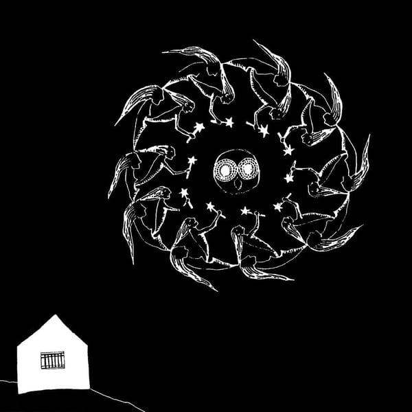 Holdypaws cover