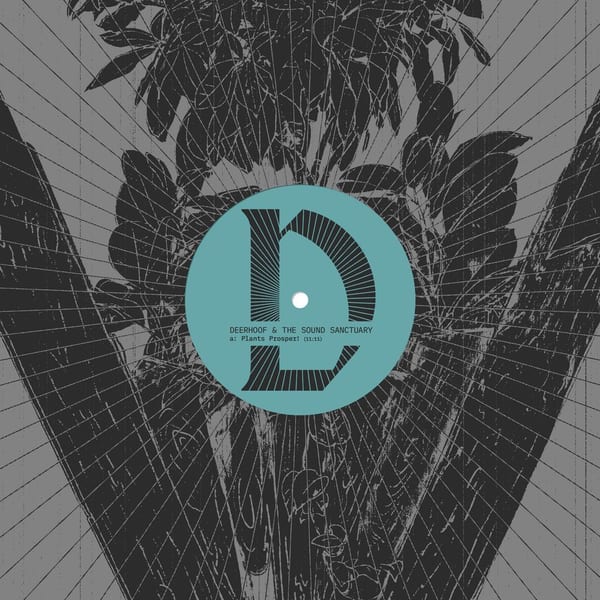 Deerhoof & The Sound Sanctuary cover