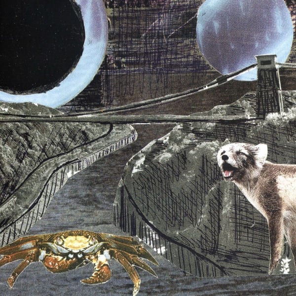 Green Cosmos cover