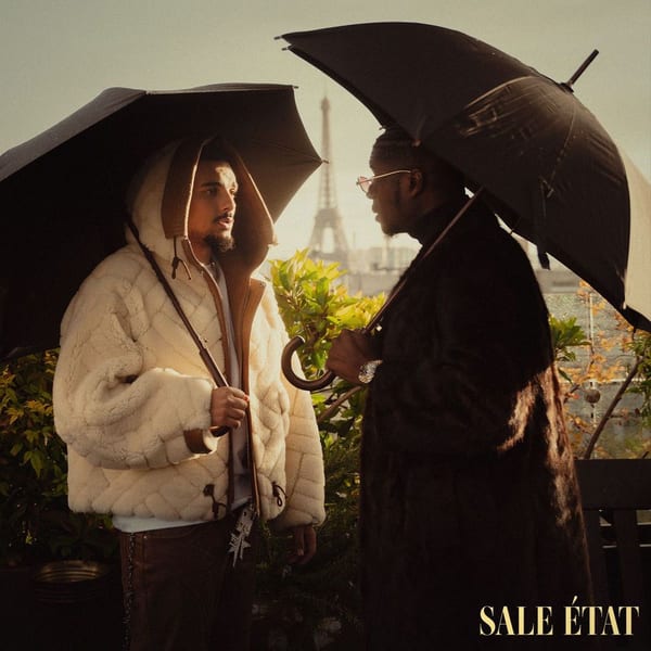 SALE ÉTAT cover