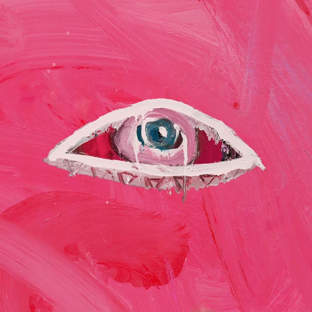 FEVER DREAM cover