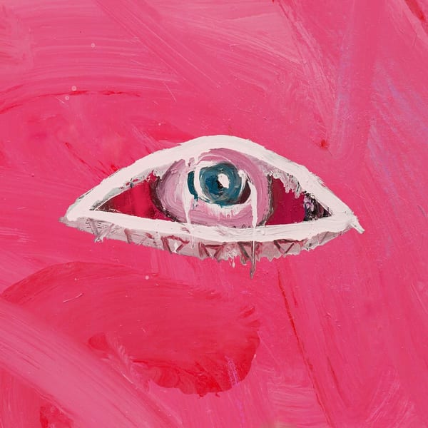 FEVER DREAM cover