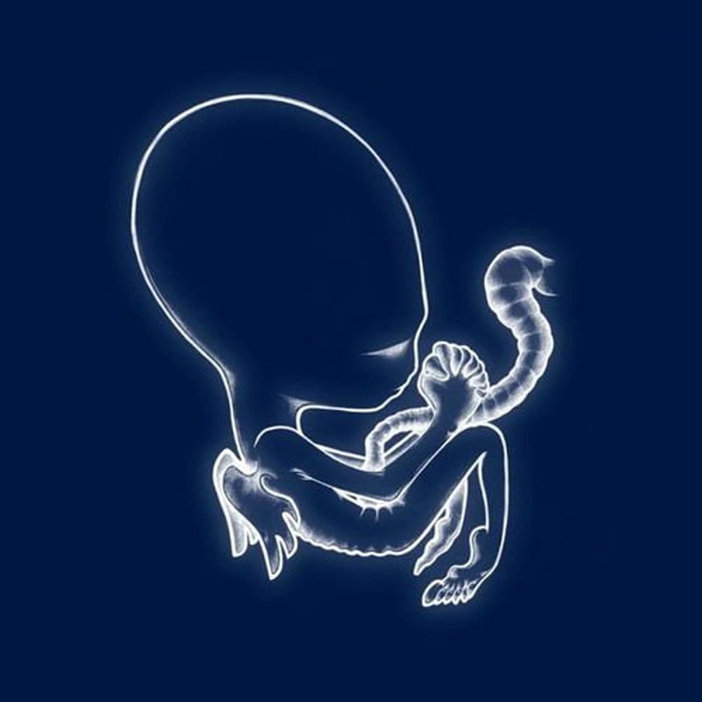 Ágætis byrjun cover