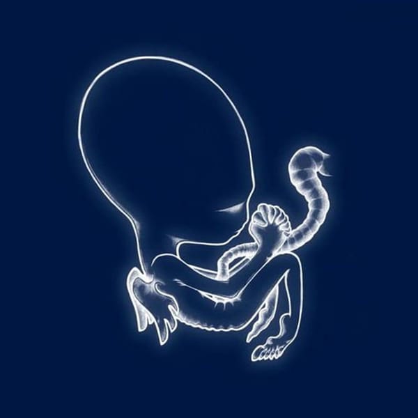 Ágætis byrjun album cover