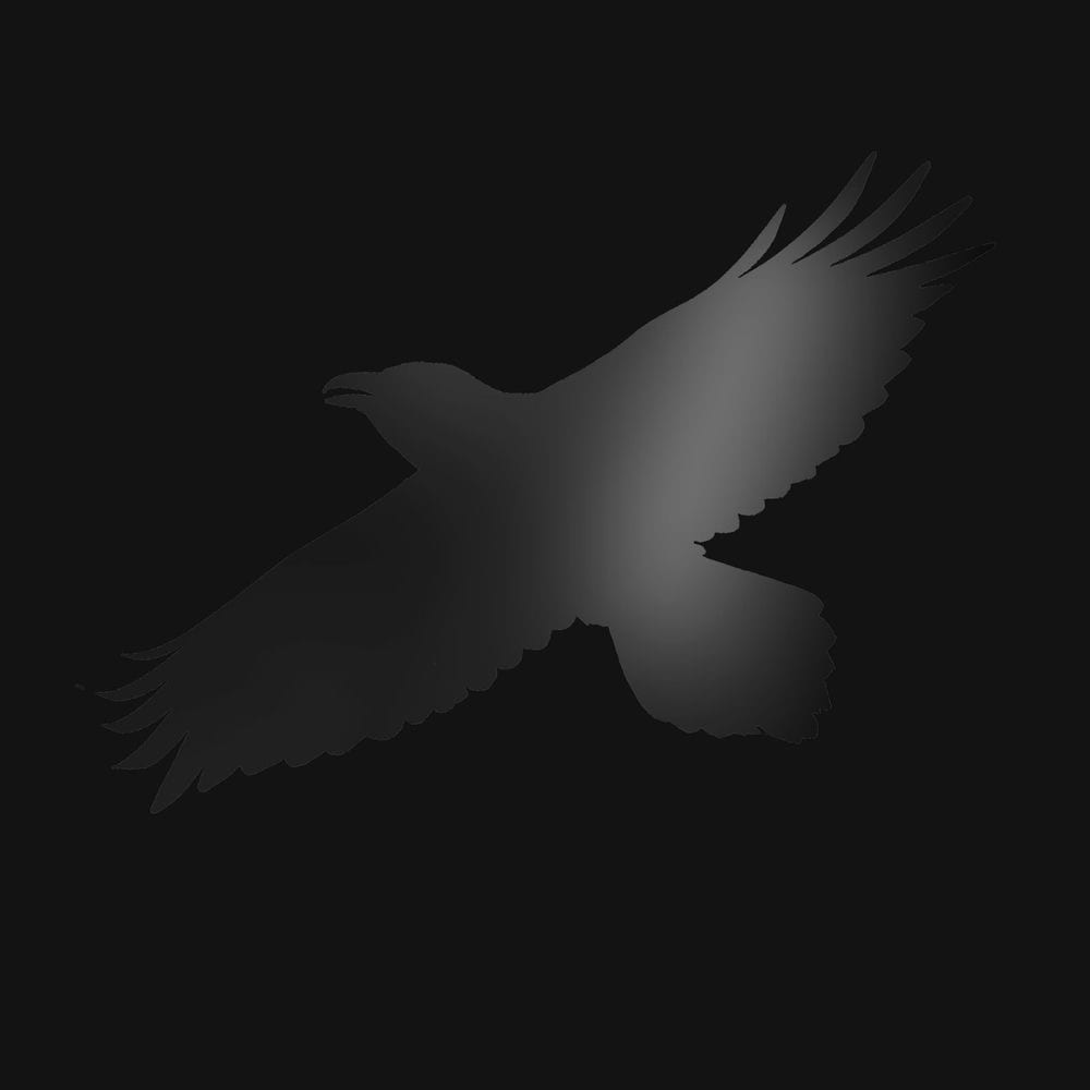 Odin's Raven Magic cover