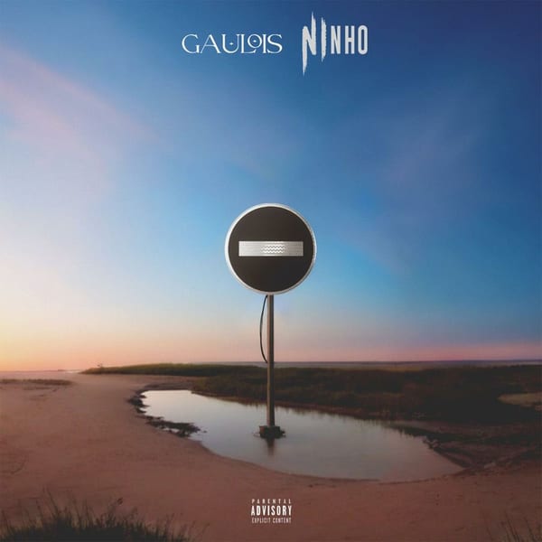 Sens interdit (feat. Ninho) cover
