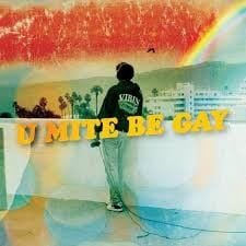 u mite be gay cover