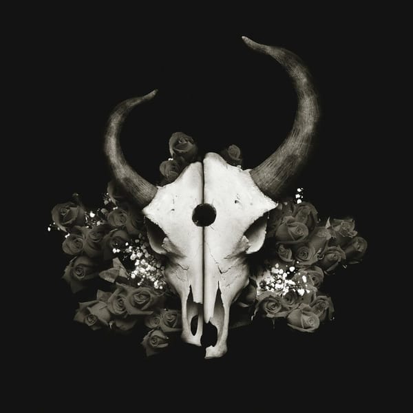 Summer of Darkness cover