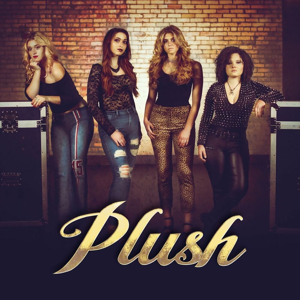 Plush cover