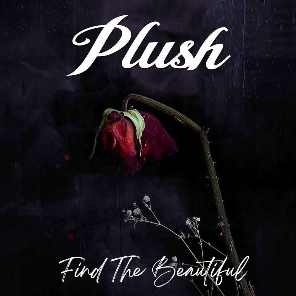 Find the Beautiful cover