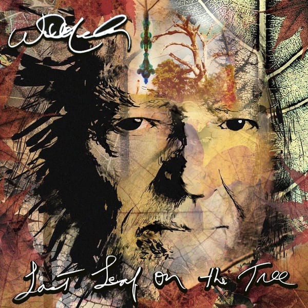 Last Leaf on the Tree album cover