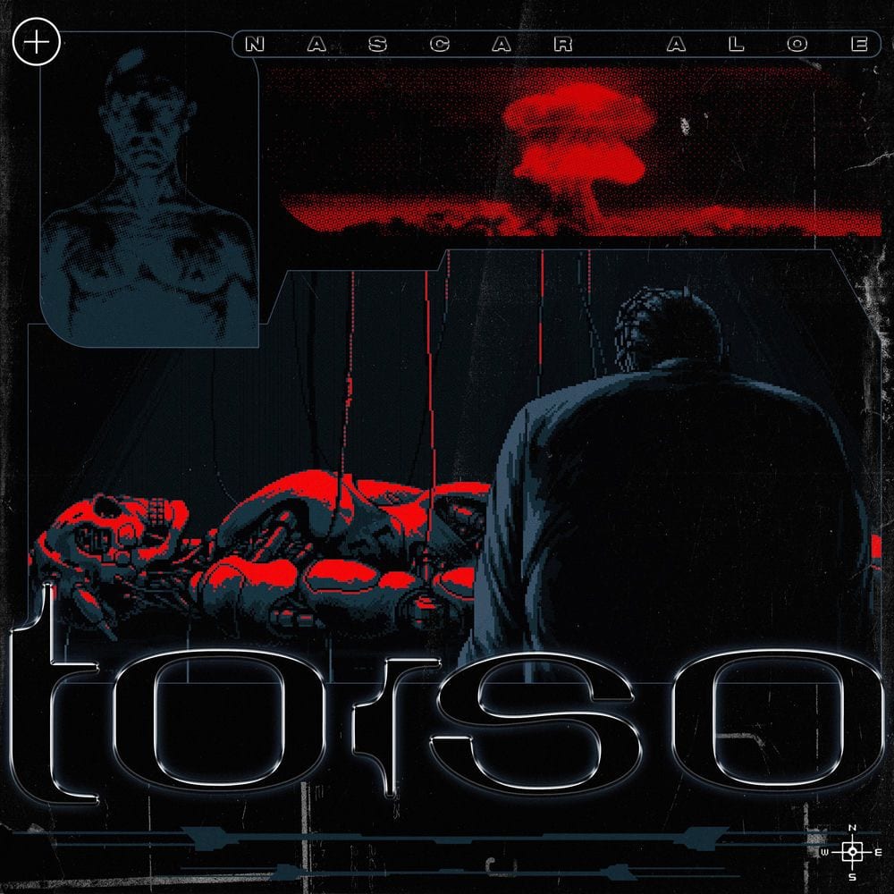 Torso cover