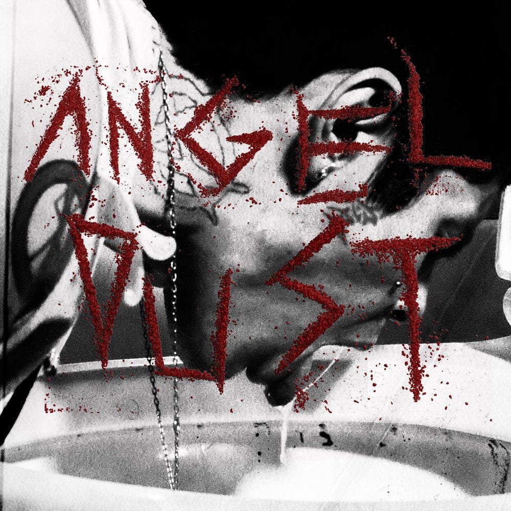 Angel Dust cover