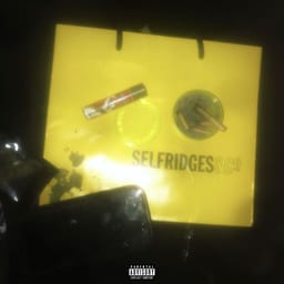 Designer album cover