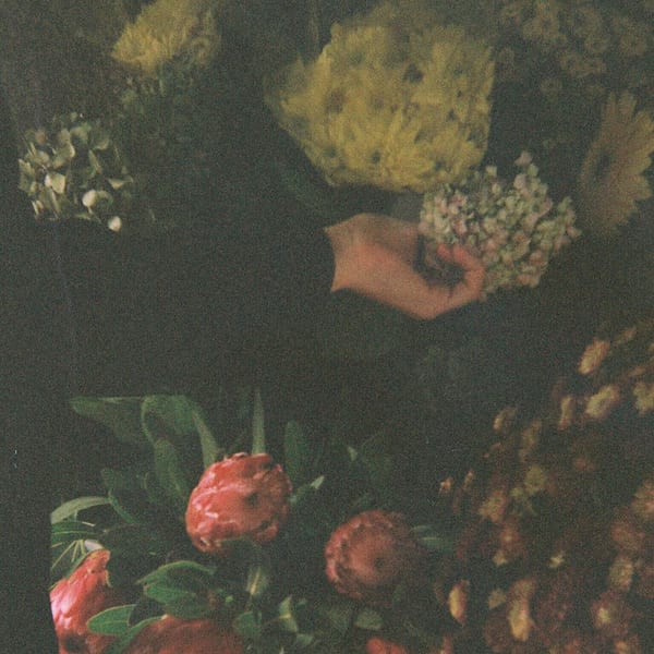 Commonly, The Other Head with Both Hands cover