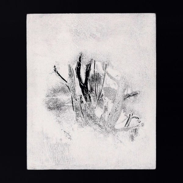 Collections 1 cover