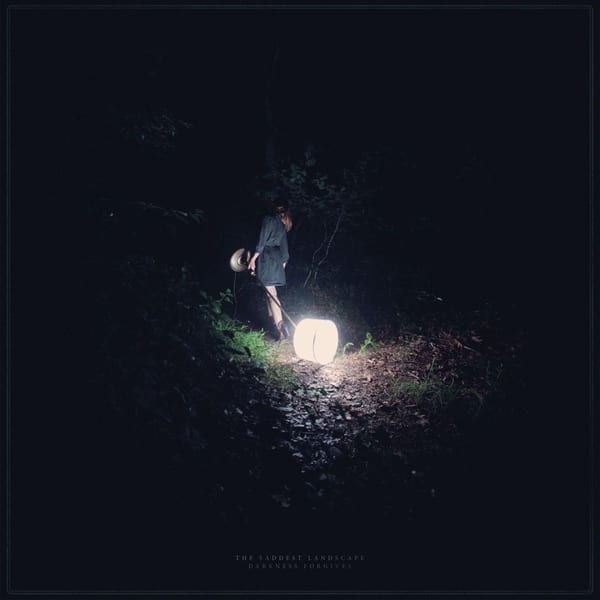 Darkness Forgives cover