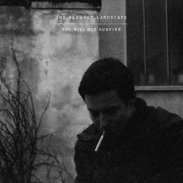 You Will Not Survive cover