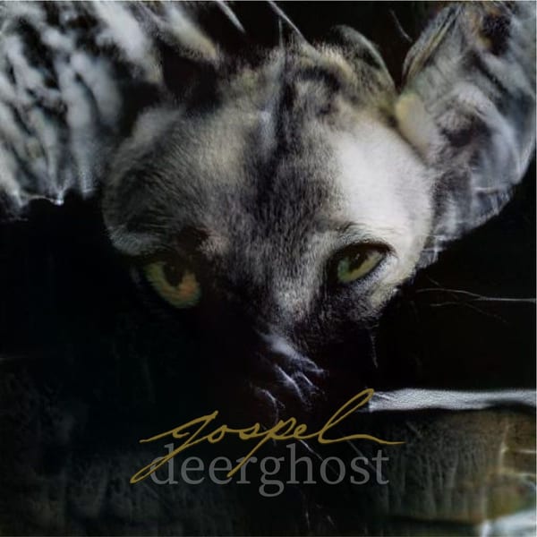 Deerghost cover