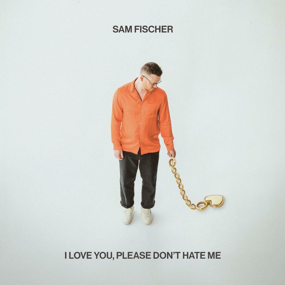 I Love You, Please Don't Hate Me cover