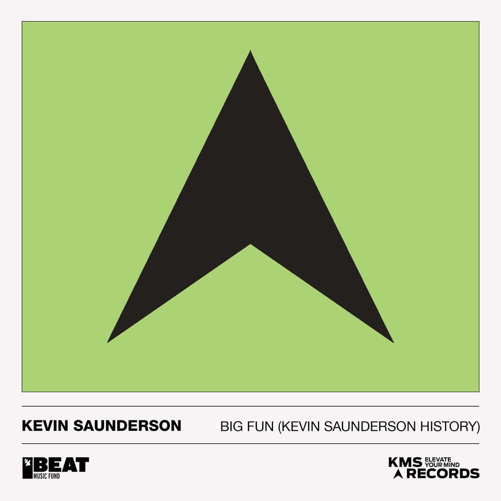 Big Fun (Kevin Saunderson History) cover
