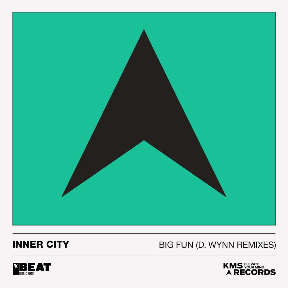 Big Fun (D. Wynn Remixes) cover