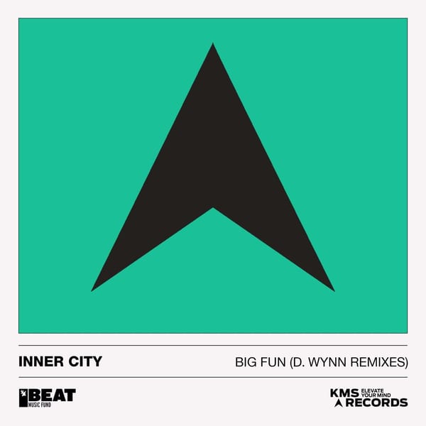 Big Fun (D. Wynn Remixes) cover