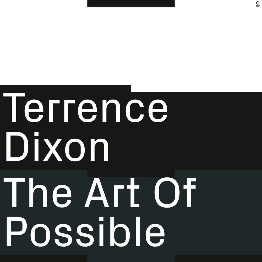 The Art Of Possible cover