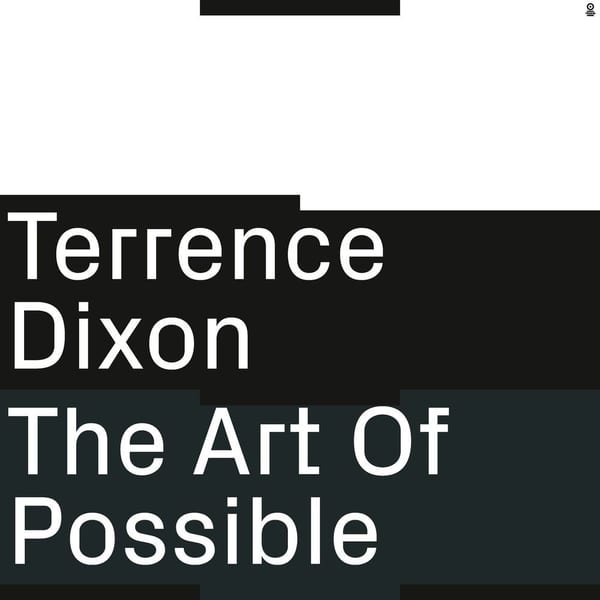 The Art Of Possible cover
